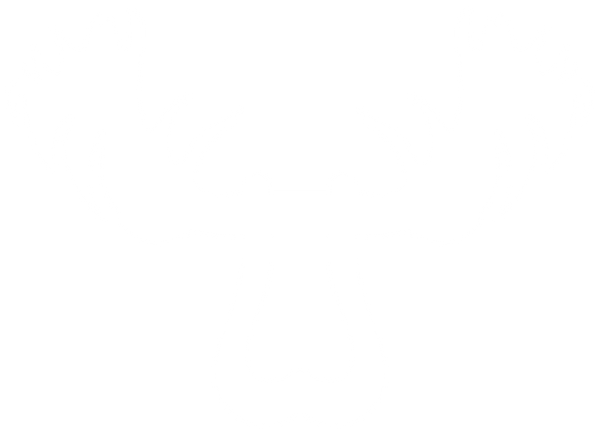 Forward Notion, LLC logo