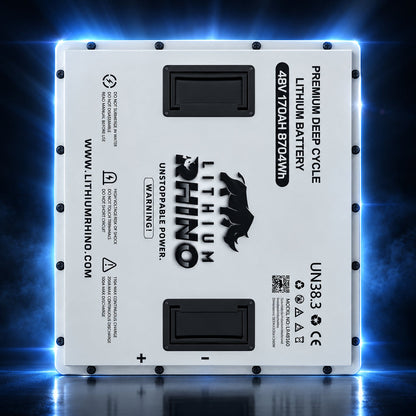 48V 170Ah Lithium Rhino 300a BMS Conversion Kit