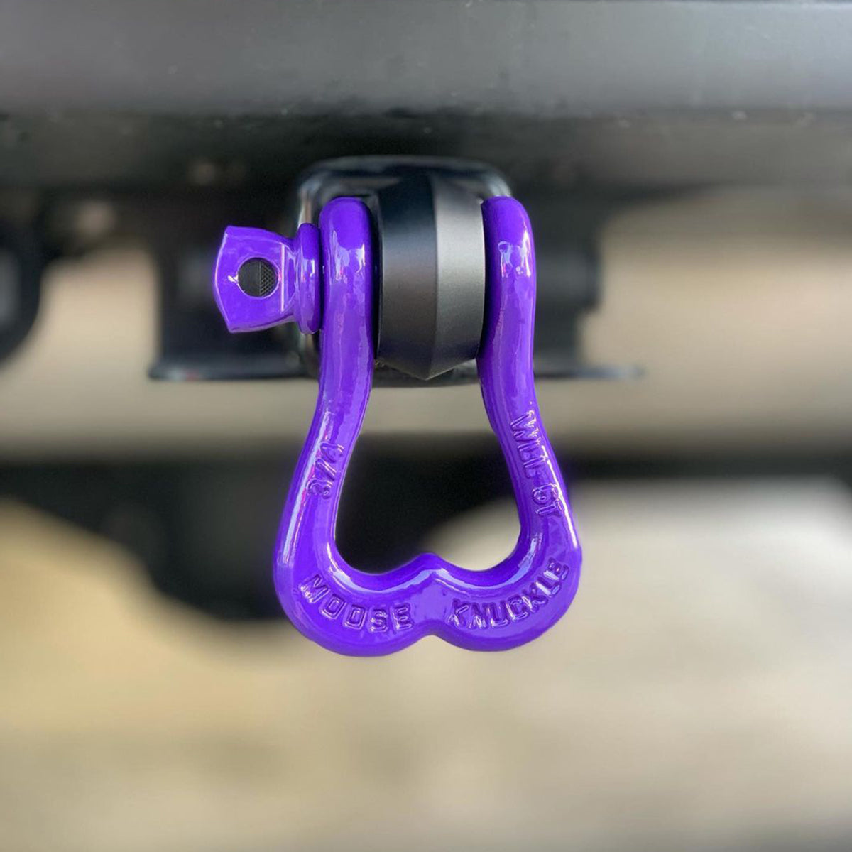 Grape Purple Shackle on a rear hitch shackle receiver truck nuts | Moose Knuckle Offroad Gear